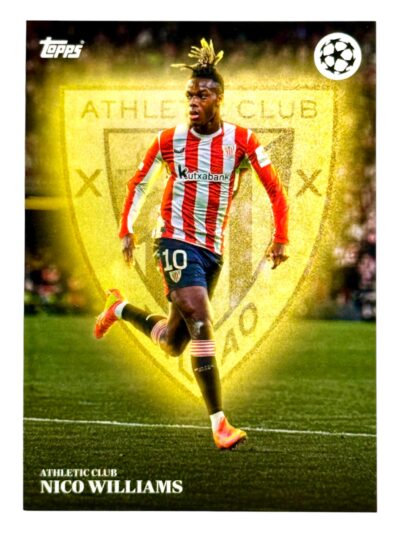 2025 Simplicidad Nico Williams